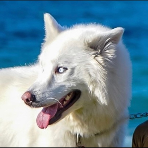 OFFERS WELCOME - Picture 5 of 7